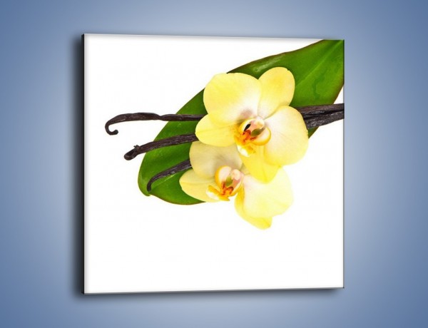 Obraz na płótnie – Waniliowa kwiatowa kompozycja – jednoczęściowy kwadratowy K857