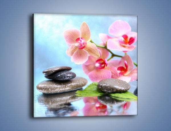 Obraz na płótnie – Wodny raj i kwiaty – jednoczęściowy kwadratowy K859