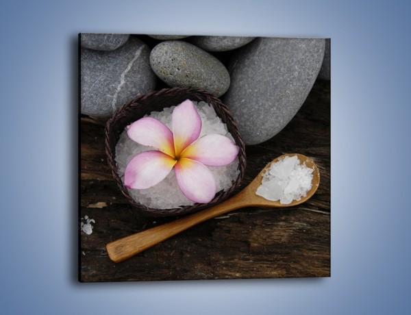 Obraz na płótnie – Kwiat na morskiej soli – jednoczęściowy kwadratowy K869