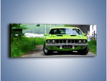 Obraz na płótnie – Plymouth Barracuda – jednoczęściowy panoramiczny TM130