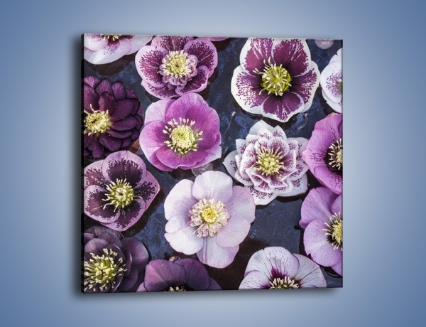 Obraz na płótnie – Wszystkie odcienie fioletu w kwiatach – jednoczęściowy kwadratowy K876