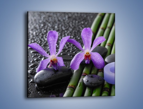 Obraz na płótnie – Mokre fiolety i kwiaty – jednoczęściowy kwadratowy K880