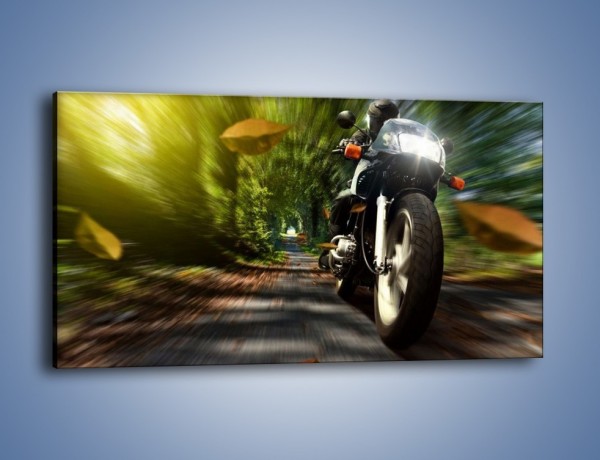 Obraz na płótnie – Jazda na motocyklu leśną dróżką – jednoczęściowy panoramiczny TM153