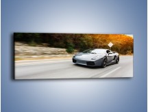 Obraz na płótnie – Lamborghini Gallardo Superleggera – jednoczęściowy panoramiczny TM181