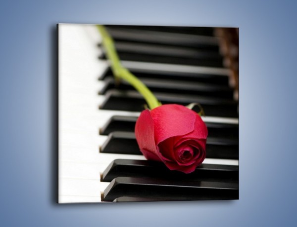 Obraz na płótnie – Czerwony kwiat i pianino – jednoczęściowy kwadratowy K909