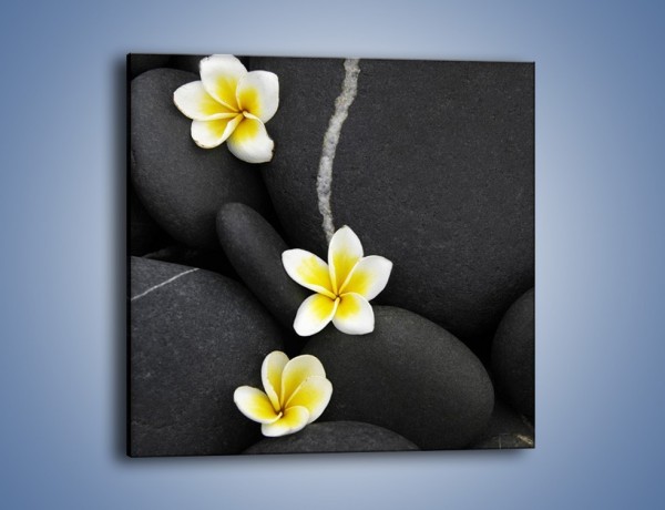 Obraz na płótnie – Kwiaty wrzucone w kamienne szczeliny – jednoczęściowy kwadratowy K934