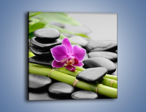 Obraz na płótnie – Samotny kwiat na bambusowych łodygach – jednoczęściowy kwadratowy K940