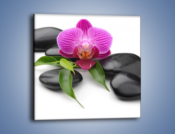 Obraz na płótnie – Kwiat i jego liście – jednoczęściowy kwadratowy K941