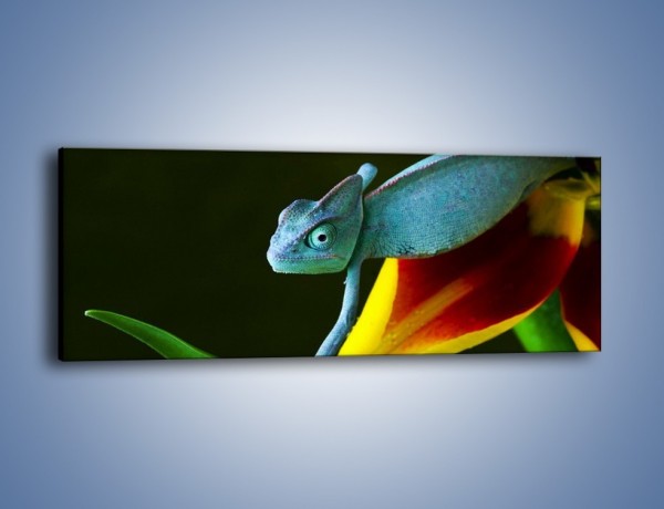 Obraz na płótnie – Liść w łapce kameleona – jednoczęściowy panoramiczny Z005