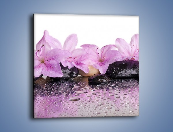 Obraz na płótnie – Lila kwiaty w mokrym klimacie – jednoczęściowy kwadratowy K957