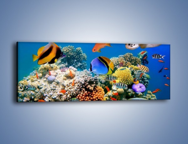 Obraz na płótnie – Wodny świat ryb – jednoczęściowy panoramiczny Z041