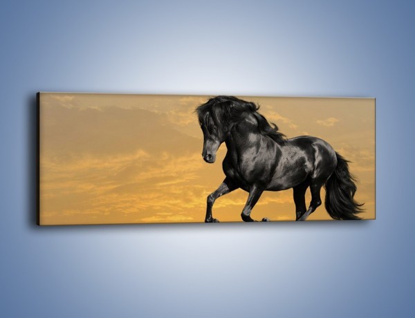 Obraz na płótnie – Bieg z koniem po polanie – jednoczęściowy panoramiczny Z057