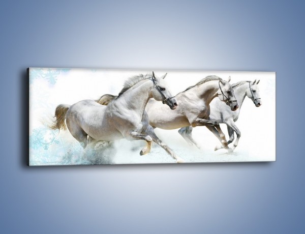 Obraz na płótnie – Końskie trio w zimowym pędzie – jednoczęściowy panoramiczny Z063