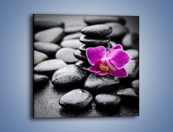 Obraz na płótnie – Malutki kwiatek i morze kamieni – jednoczęściowy kwadratowy K983