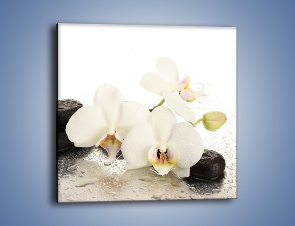 Obraz na płótnie – Mokre kwiaty i kamienie – jednoczęściowy kwadratowy K986