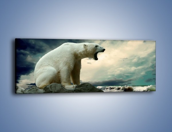 Obraz na płótnie – Donośny krzyk polarnego niedźwiedzia – jednoczęściowy panoramiczny Z114