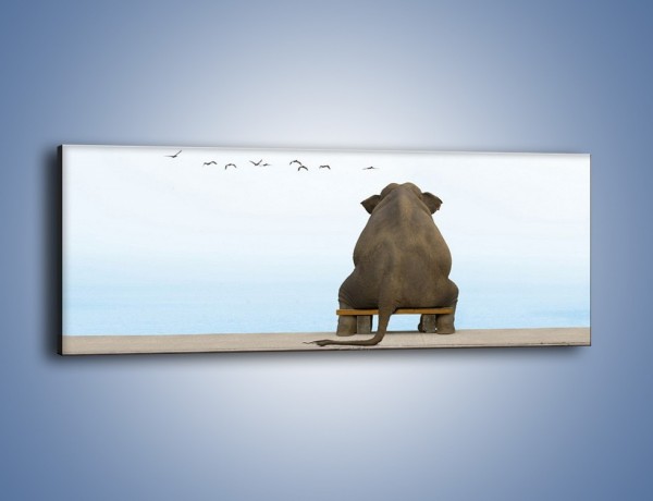 Obraz na płótnie – Przemyślenia słonia w samotności – jednoczęściowy panoramiczny Z120