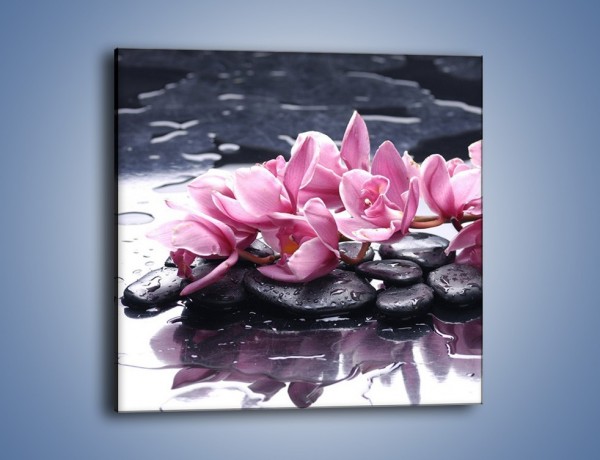Obraz na płótnie – Rzucone kwiaty na wodę – jednoczęściowy kwadratowy K997