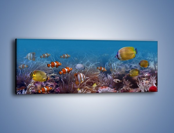 Obraz na płótnie – Ocean i jego kolorowi towarzysze – jednoczęściowy panoramiczny Z168