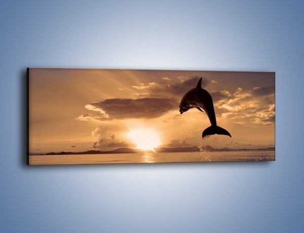 Obraz na płótnie – Z delfinem w stronę zachodzącego słońca – jednoczęściowy panoramiczny Z170