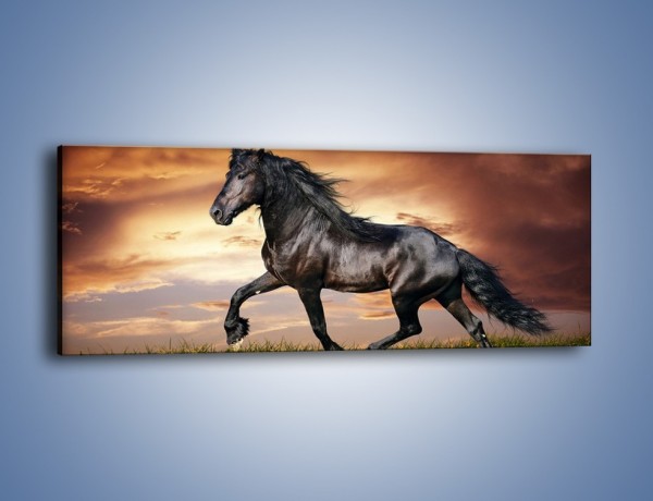 Obraz na płótnie – Mustang w galopie – jednoczęściowy panoramiczny Z178