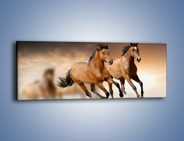 Obraz na płótnie – Uciec na koniu przed burzą – jednoczęściowy panoramiczny Z180
