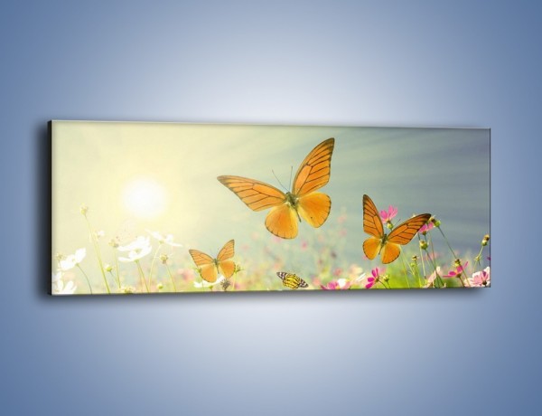 Obraz na płótnie – Z motylem wśród kwiatów – jednoczęściowy panoramiczny Z193