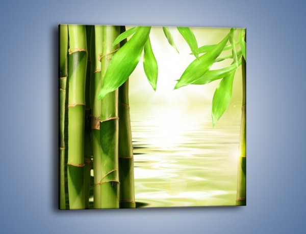 Obraz na płótnie – Bambusowe liście i łodygi – jednoczęściowy kwadratowy KN027