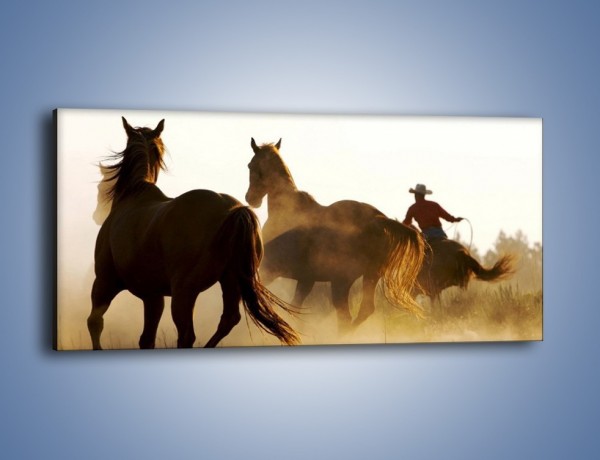 Obraz na płótnie – Cowboy wśród koni – jednoczęściowy panoramiczny Z206