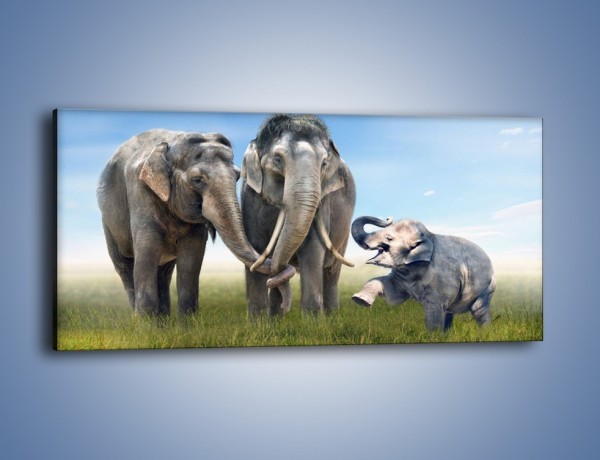 Obraz na płótnie – Przebij łapę ze słoniątkiem – jednoczęściowy panoramiczny Z208