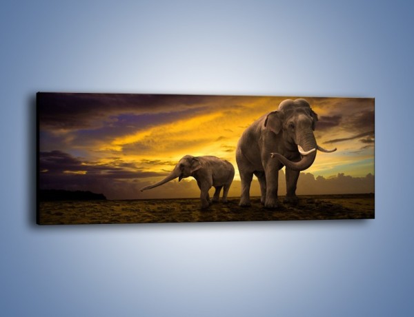 Obraz na płótnie – Ciekawość małego słonika – jednoczęściowy panoramiczny Z212