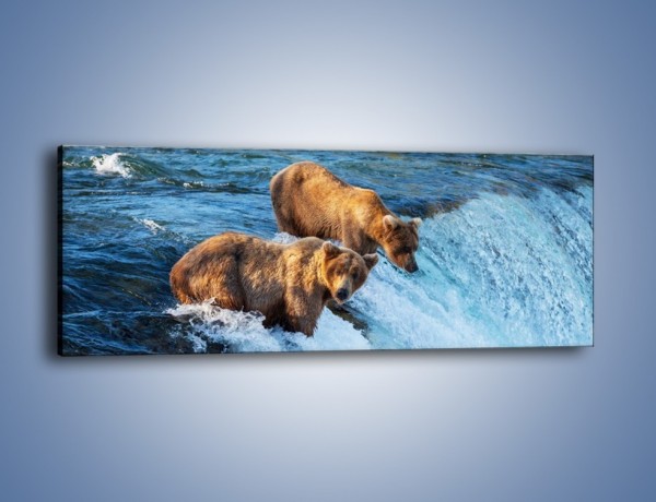 Obraz na płótnie – Niedźwiedzie na zjeżdżalni – jednoczęściowy panoramiczny Z213
