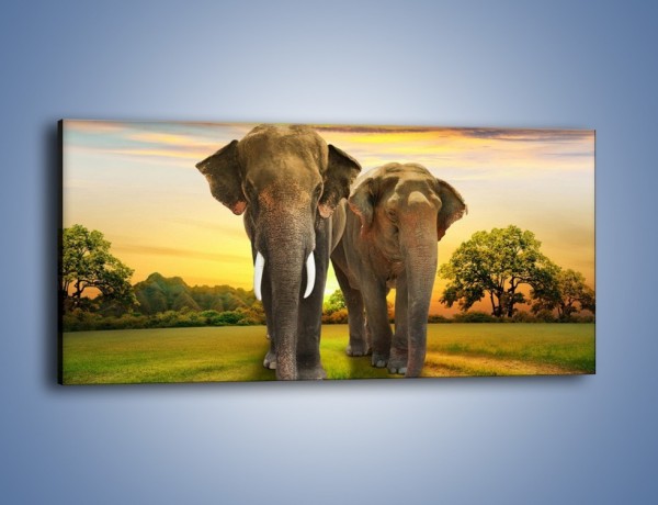 Obraz na płótnie – Słoniowa para na spacerze – jednoczęściowy panoramiczny Z217