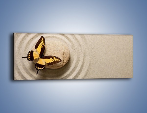 Obraz na płótnie – Samotność motyla – jednoczęściowy panoramiczny Z223