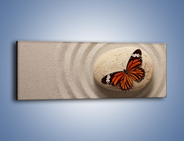 Obraz na płótnie – Spoczynek motyla na kamieniu – jednoczęściowy panoramiczny Z224