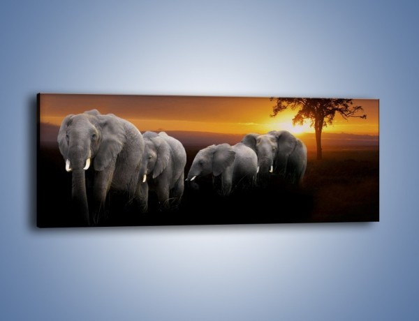 Obraz na płótnie – Powrót słoni do domu – jednoczęściowy panoramiczny Z229