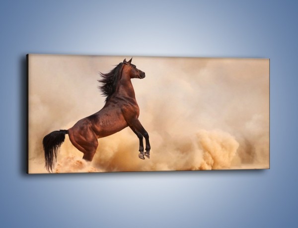 Obraz na płótnie – Koń na warcie – jednoczęściowy panoramiczny Z234