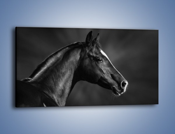 Obraz na płótnie – Zadumane spojrzenie konia – jednoczęściowy panoramiczny Z238