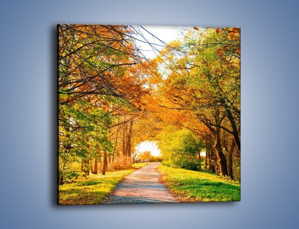 Obraz na płótnie – Jesienna drogą – jednoczęściowy kwadratowy KN064