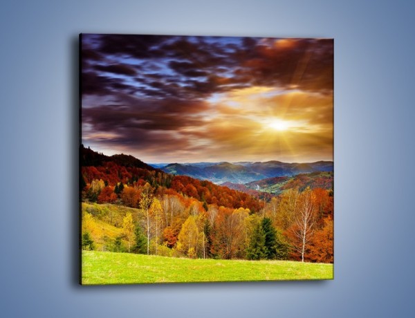 Obraz na płótnie – Góry z kolorowych drzew – jednoczęściowy kwadratowy KN066