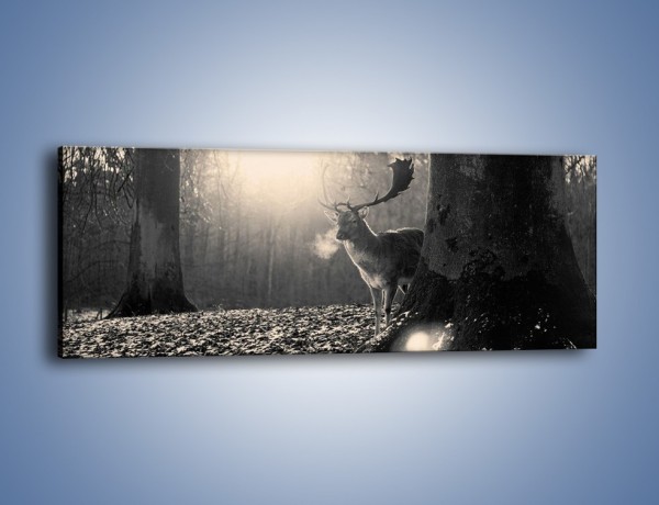 Obraz na płótnie – Jeleń w sepii – jednoczęściowy panoramiczny Z250