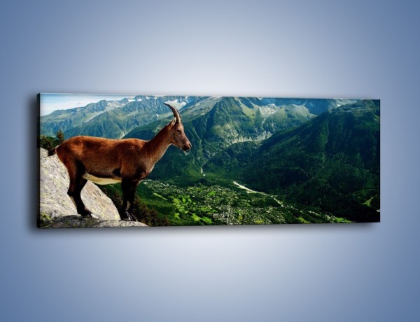 Obraz na płótnie – Kozica w górskiej panoramie – jednoczęściowy panoramiczny Z260