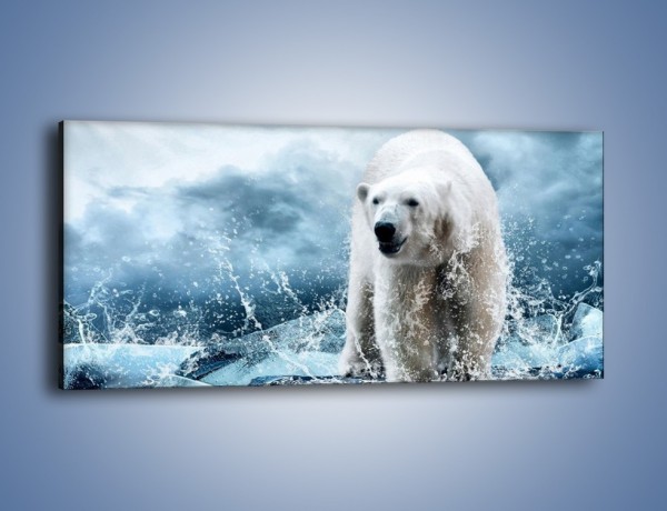 Obraz na płótnie – Polarny niedźwiedź na lodzie – jednoczęściowy panoramiczny Z264
