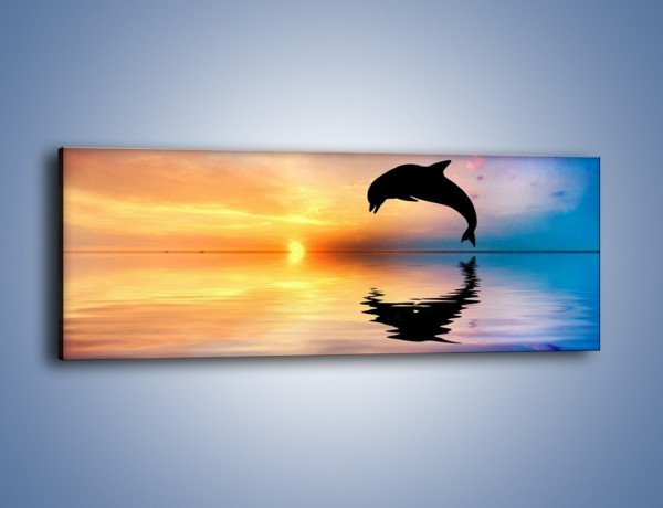 Obraz na płótnie – Delfin i jego odbicie – jednoczęściowy panoramiczny Z268
