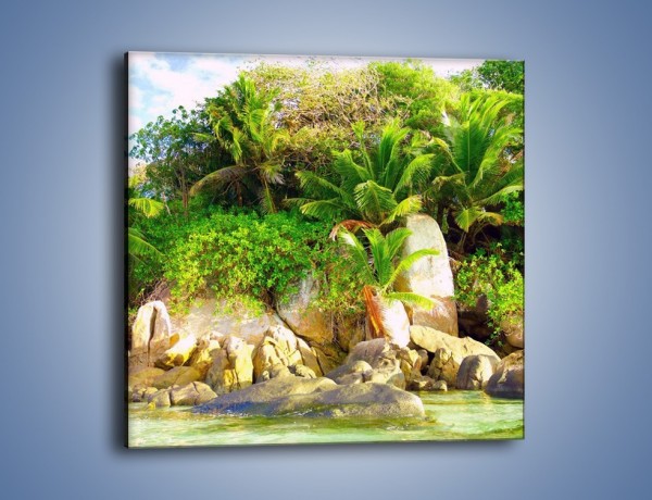 Obraz na płótnie – Ściana tropikalnych drzew – jednoczęściowy kwadratowy KN086