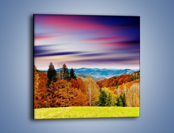 Obraz na płótnie – Drzewa w kolorach jesieni – jednoczęściowy kwadratowy KN099