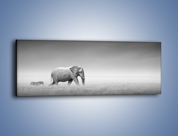 Obraz na płótnie – Spacer zwierząt przez sawannę – jednoczęściowy panoramiczny Z285
