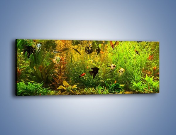 Obraz na płótnie – Zielony świat ryb – jednoczęściowy panoramiczny Z287