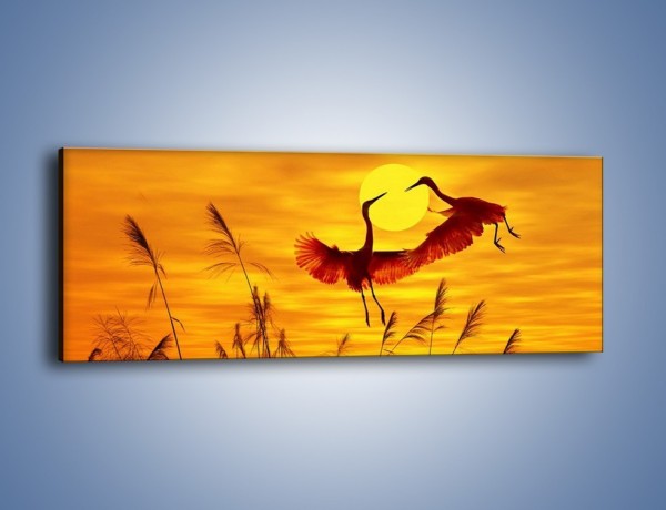 Obraz na płótnie – Czaple i zachód słońca – jednoczęściowy panoramiczny Z302