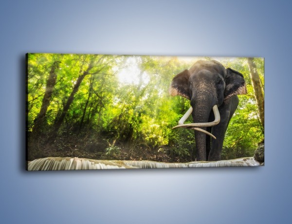 Obraz na płótnie – Słoń i mały wodospad – jednoczęściowy panoramiczny Z305